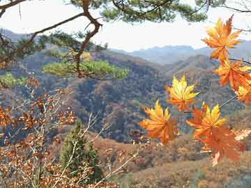 谁敢相信这是71岁的赵雅芝，赵雅芝，71岁依旧风华绝代，令人惊叹的冻龄女神